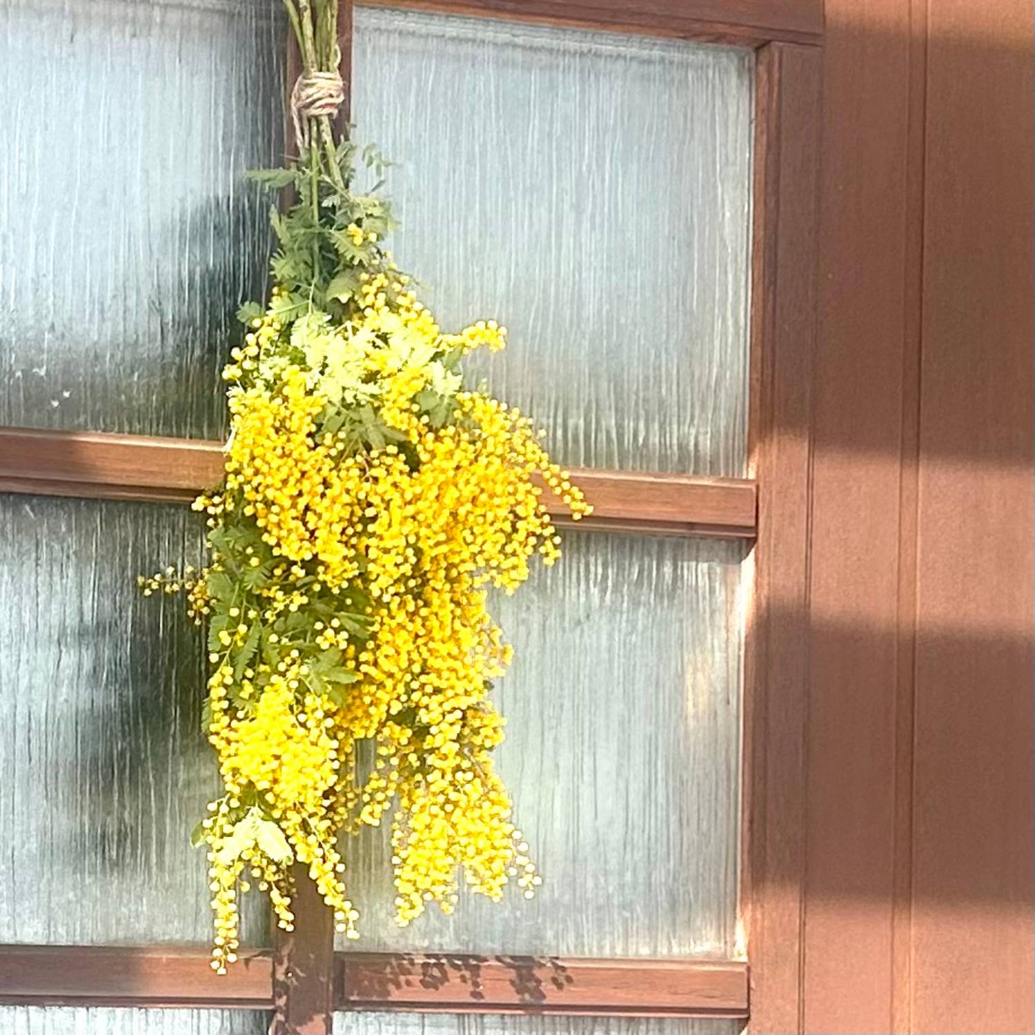 ミモザのスワッグ